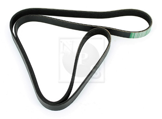 NPS D111O13 Cinghia Poly-V