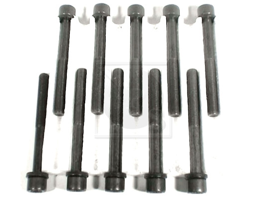 NPS D128O04 Kit bulloni...