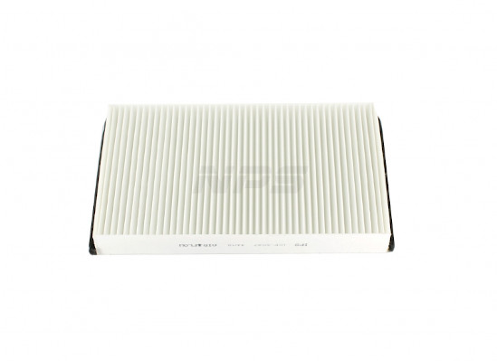 NPS F135T207 Filtro, Aria...
