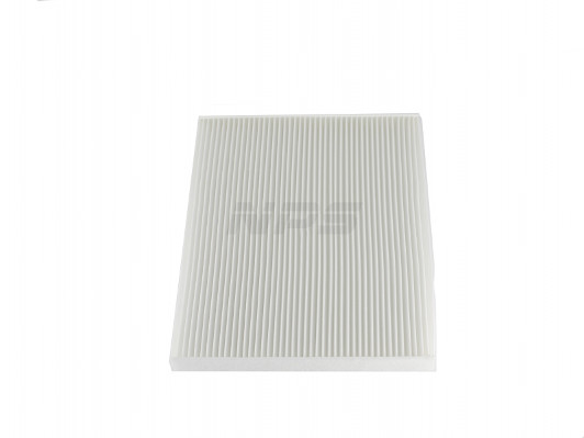 NPS F135T221 Filtro, Aria...