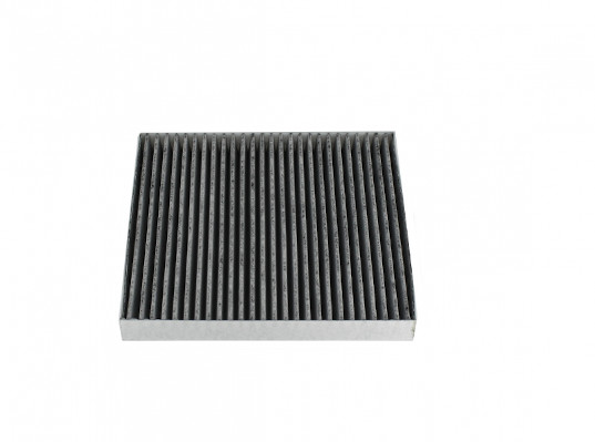 NPS F135T225 Filtro, Aria...