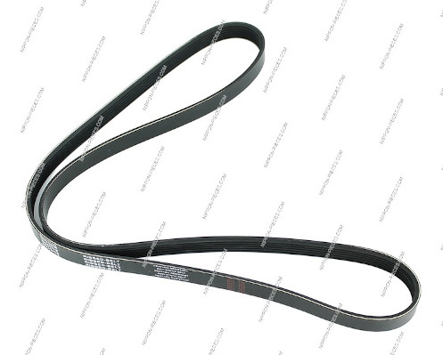 NPS H111I18 Cinghia Poly-V