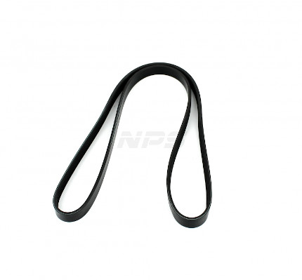 NPS H111I38 Cinghia Poly-V