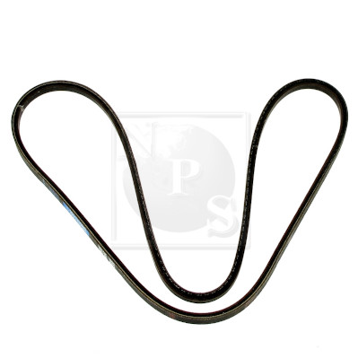 NPS I111U03 Cinghia Poly-V
