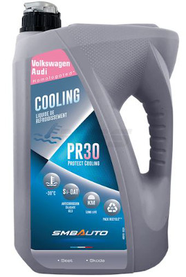 NPS LR4G13 Olio motore