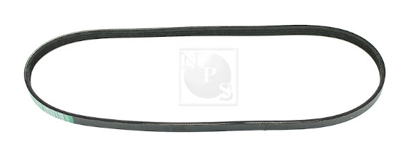 NPS M111I04 Cinghia Poly-V