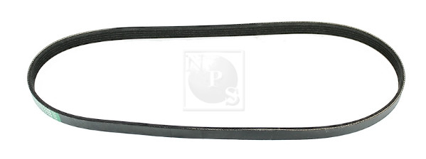 NPS M111I19 Cinghia Poly-V