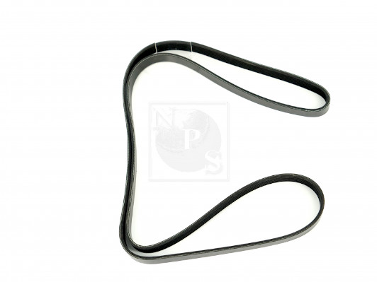 NPS M111I75 Cinghia Poly-V