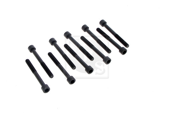 NPS M128A16 Kit bulloni...