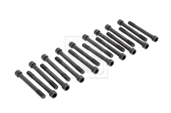 NPS M128I01 Kit bulloni...