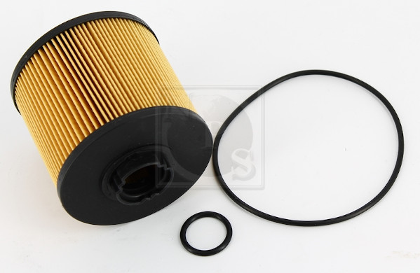 NPS M133I96 Filtro carburante