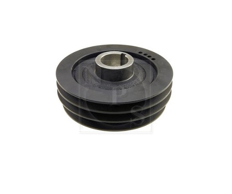 NPS M815I09 Puleggia...