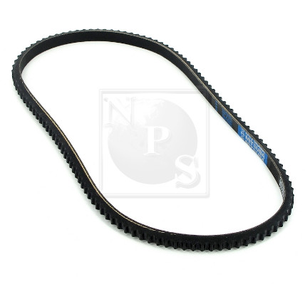 NPS N111N06 Cinghia...