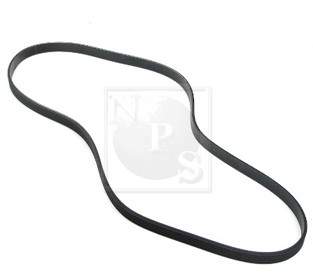 NPS N111N55 Cinghia Poly-V