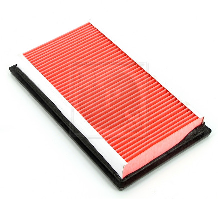 NPS N132N55 Filtro aria