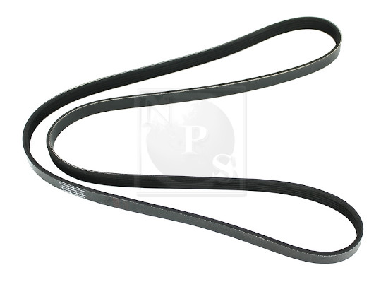 NPS S111I23 Cinghia Poly-V