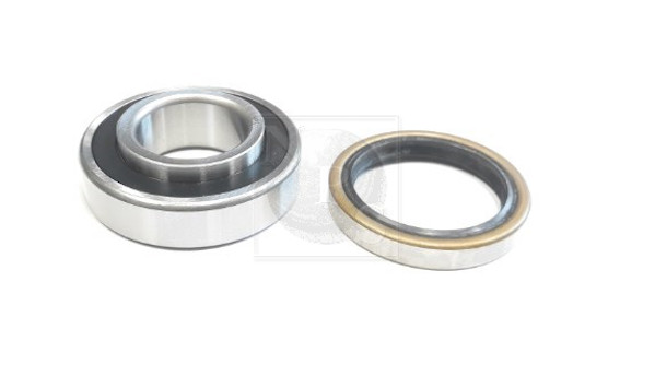 NPS S471I10 Kit cuscinetto...