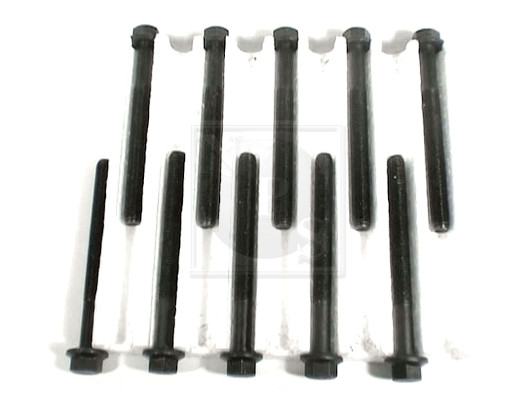 NPS T128A09 Kit bulloni...