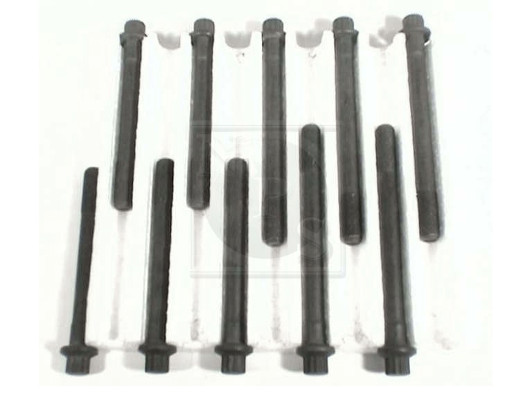 NPS T128A13 Kit bulloni...