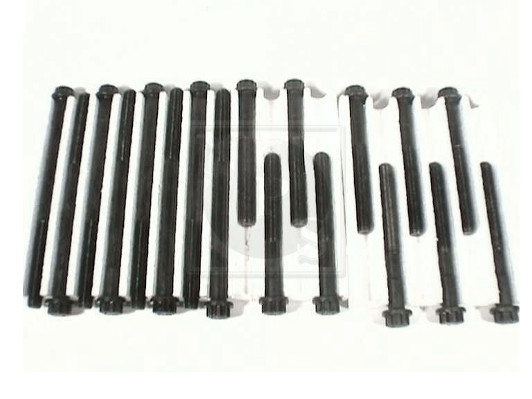 NPS T128A15 Kit bulloni...