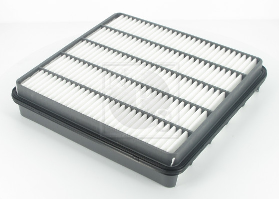 NPS T132A118 Filtro aria