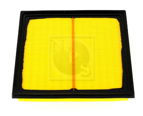 NPS T132A125 Filtro aria