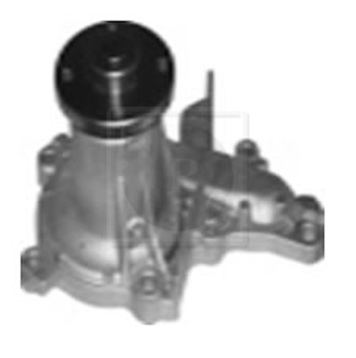 NPS T151A102 Pompa...