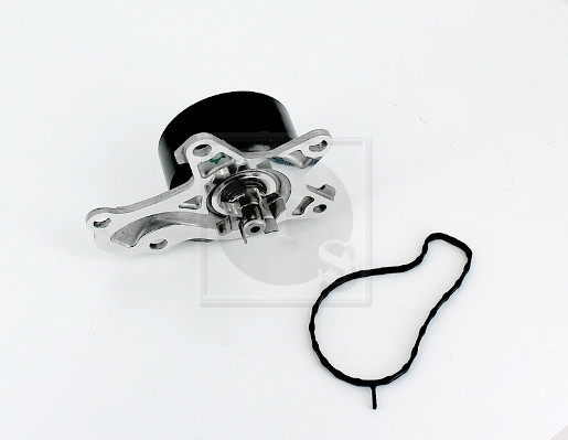 NPS T151A117 Pompa...