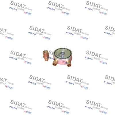 81.210 sistem injectie