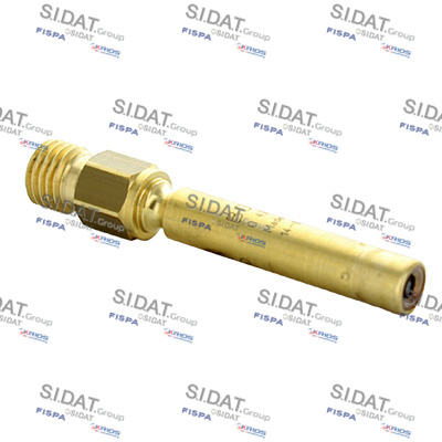 DTS 81.220 Injector