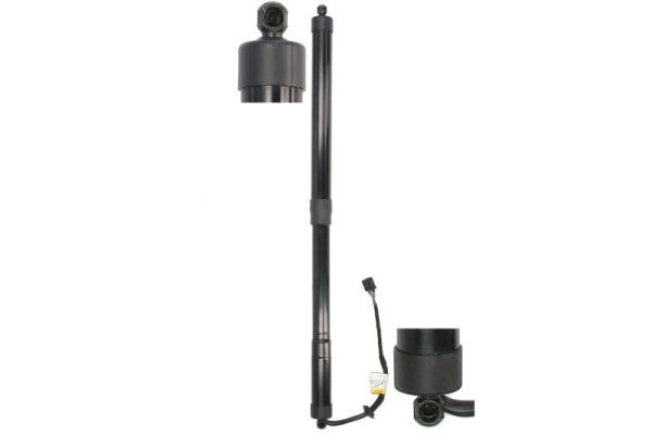 Magnum Technology MGS5072MT Gasfeder, Einlegeboden (Koffer-/Laderaum)