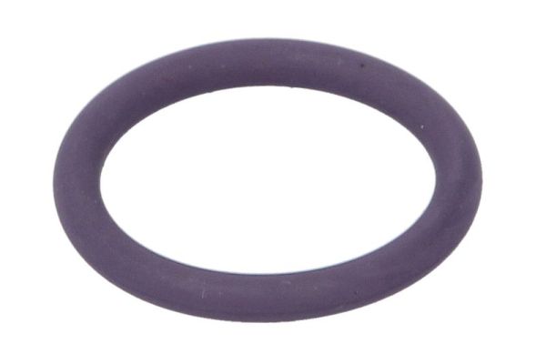 THERMOTEC DCR276TT Dichtung, Kühlmittelrohrleitung