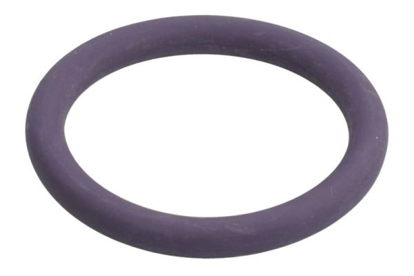 THERMOTEC DCR277TT Dichtung, Kühlmittelrohrleitung