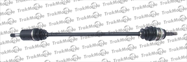 TrakMotive 30-1262 Albero...