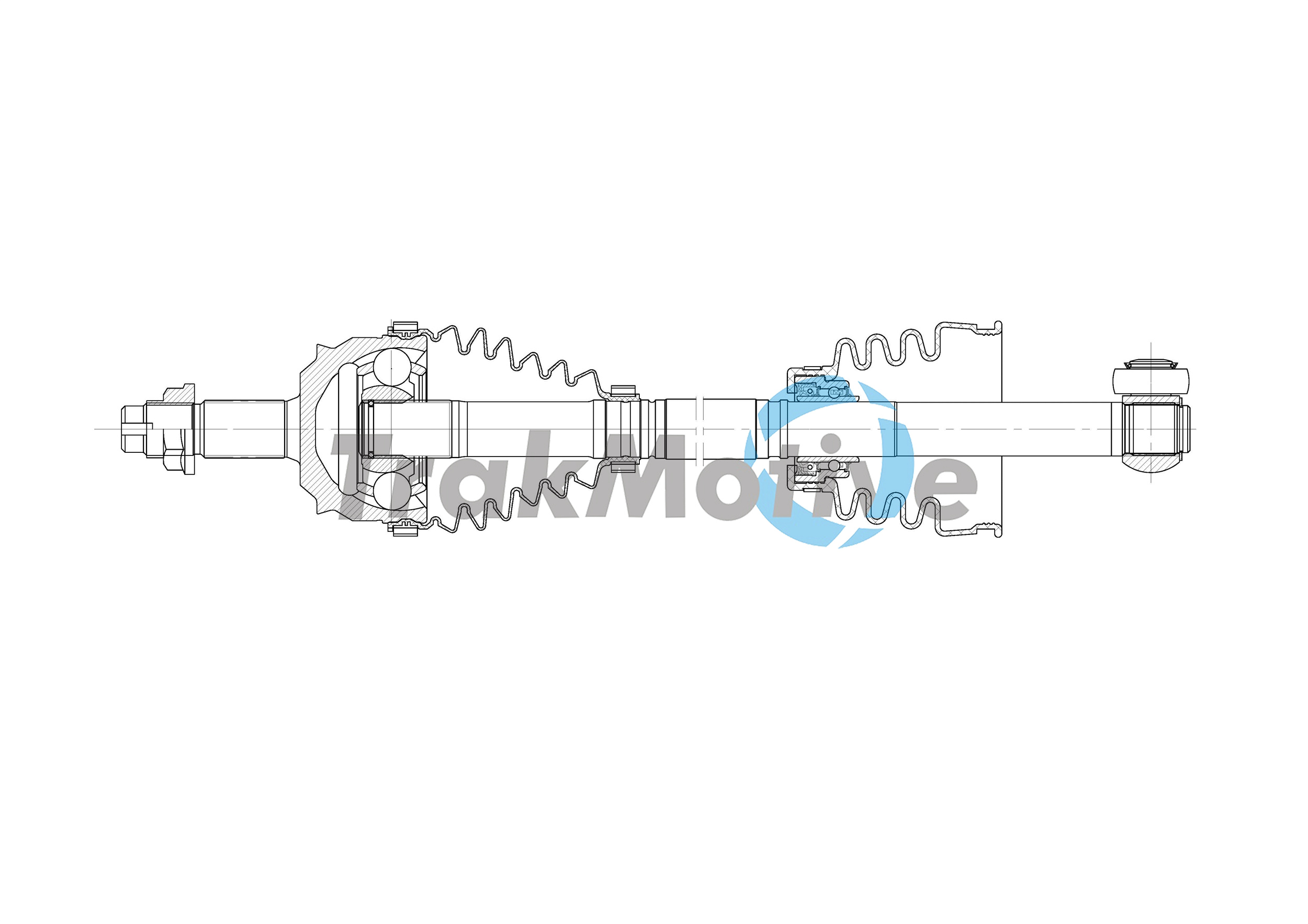 TrakMotive 30-2021 Albero...