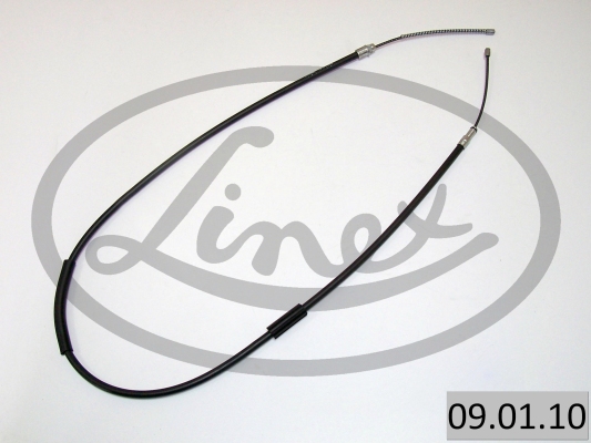 LINEX 09.01.10...