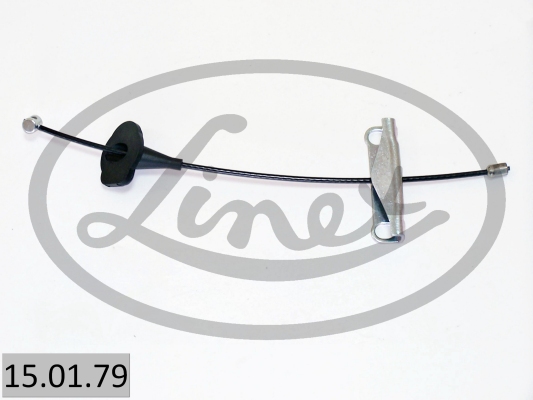 LINEX 15.01.79...