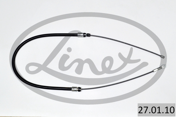 LINEX 27.01.10...