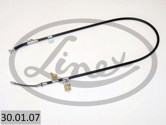 LINEX 30.01.07...