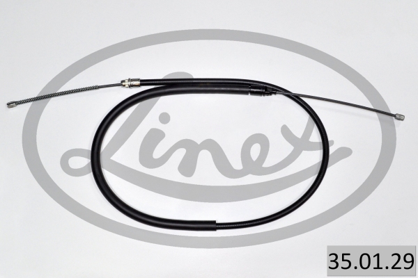 LINEX 35.01.29...