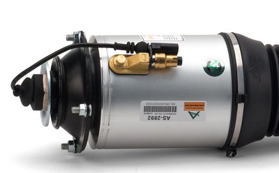 Arnott AS-2892 Original Arnott Product Luftfjærbein