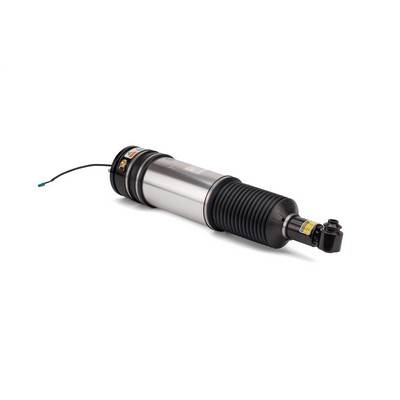 Arnott AS-2978 Original Arnott Product Luftfjærbein