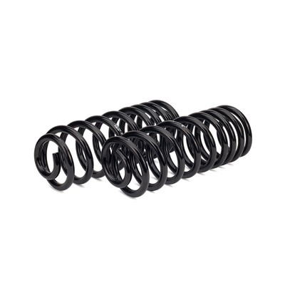 Arnott C-2988 Suspension Set, springs