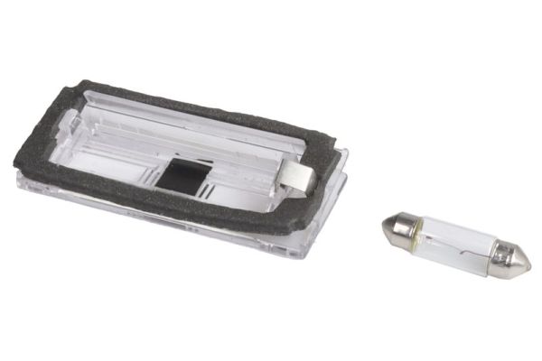 BLIC 5402-003-07-905 Kennzeichenleuchte