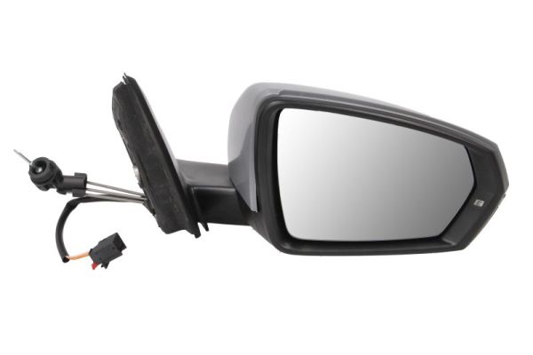 BLIC 5402-04-1984366P Außenspiegel