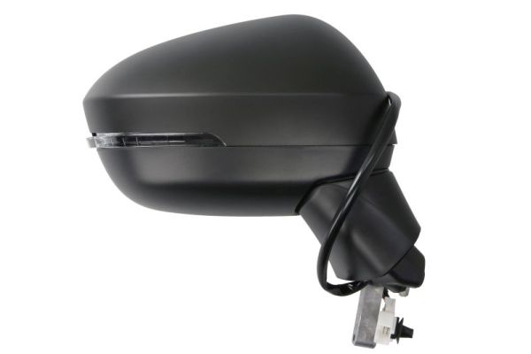 BLIC 5402-16-2556311P Außenspiegel
