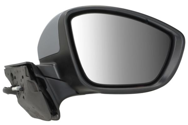 BLIC 5402-21-0199329P Außenspiegel