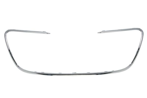 BLIC 5513-00-5527921P Zier-/Schutzleiste, Kühlergitter