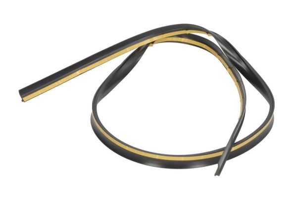 BLIC 5703-04-0063102P Dichtung, Frontscheibe