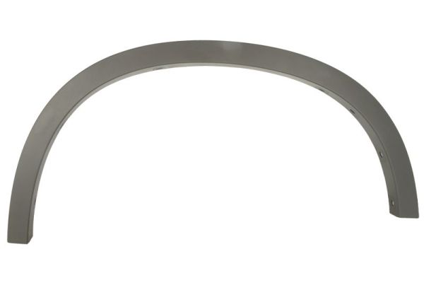 BLIC 5703-04-0082423P Zier-/Schutzleiste, Kotflügel